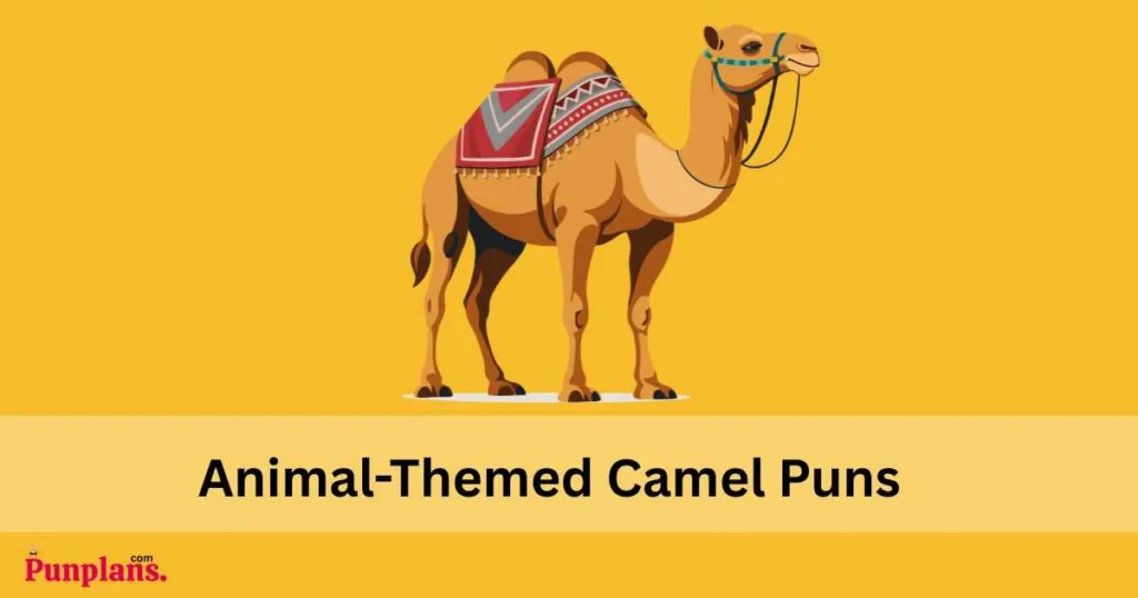 Animal Themed Camel Puns