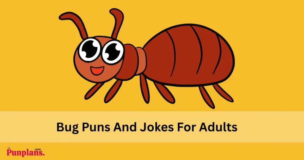 Bug Puns And Jokes For Adults