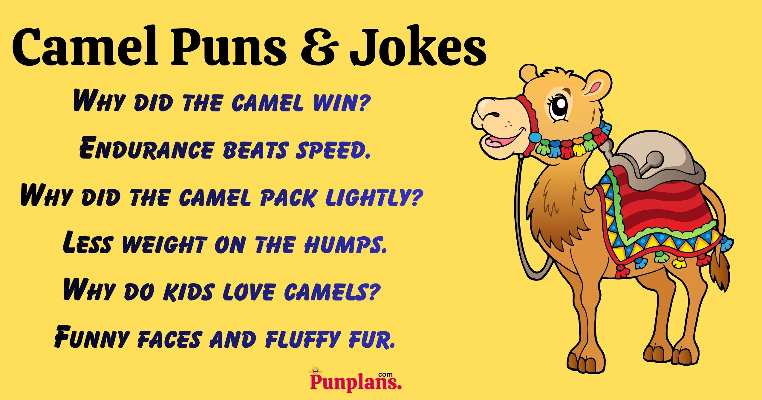 Camel Puns And Jokes