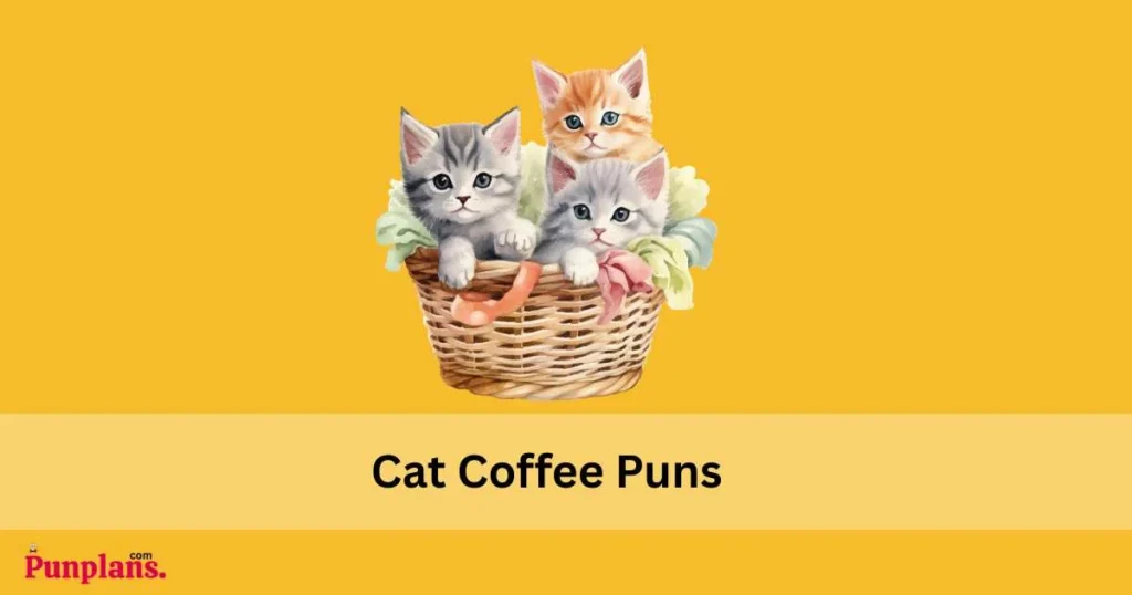 Cat Coffee Puns