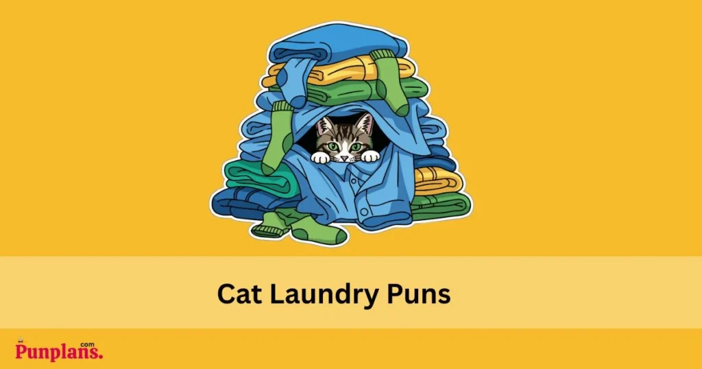 Cat Laundry Puns