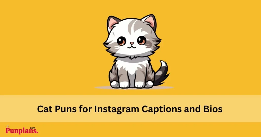Cat_puns_for_instagram_captions_and_bios