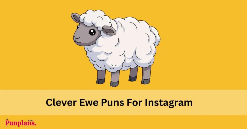 Clever Ewe Puns For Instagram