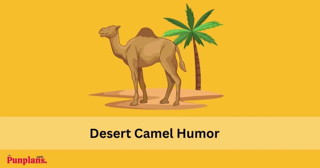 Desert Camel Humor