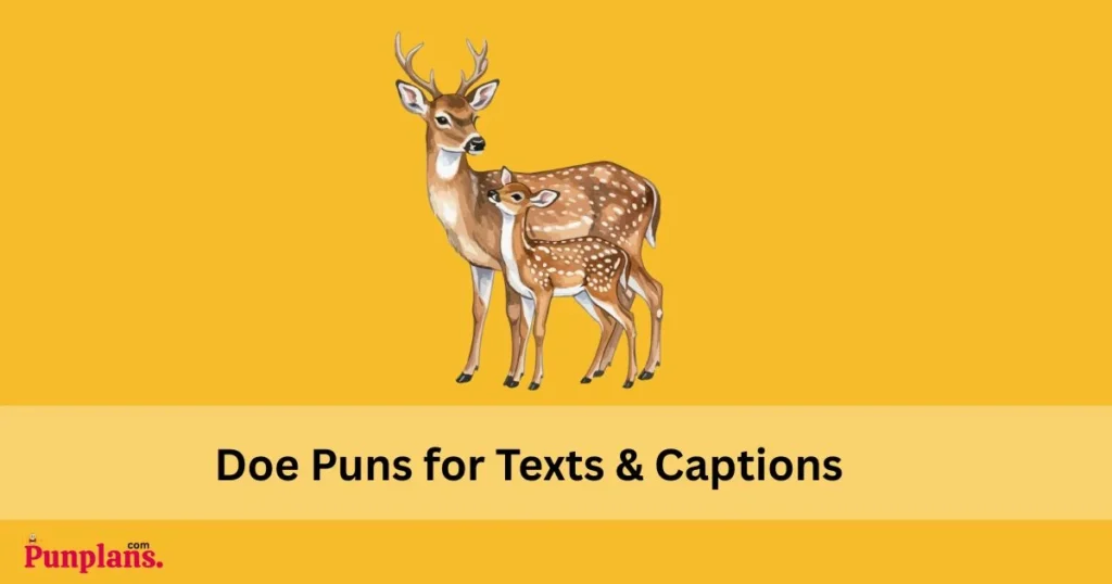 Doe Puns For Texts And Captions