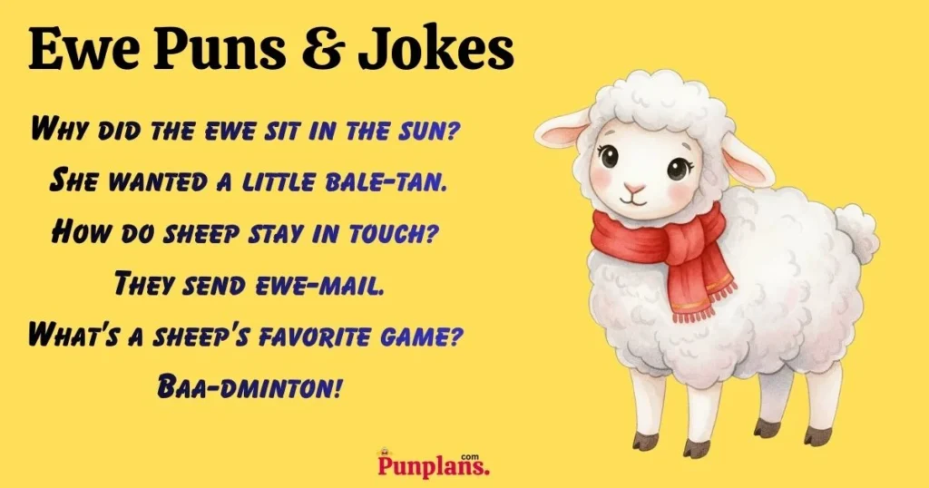 Ewe Puns And Jokes