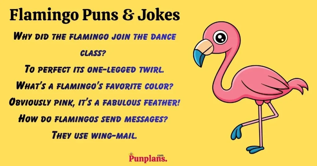Flamingo Puns And Jokes