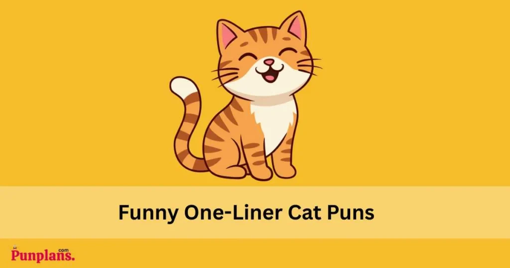 Funny One Liner Cat Puns