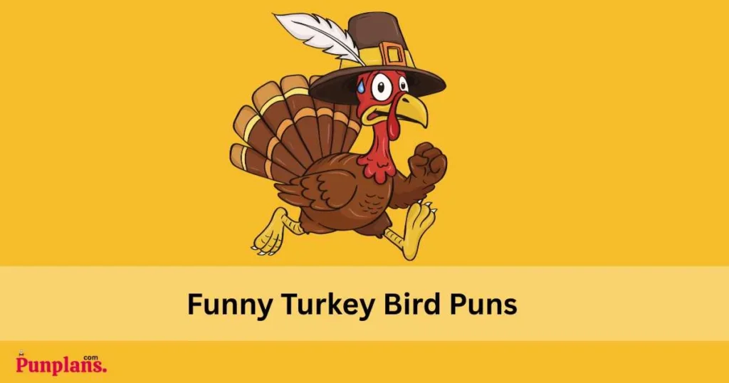 Funny Turkey Bird Puns