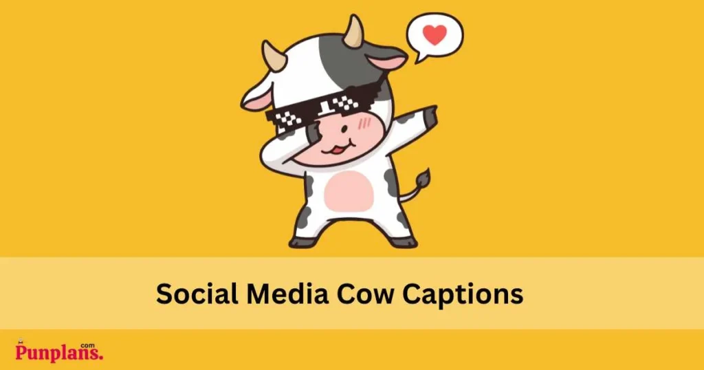 Social Media Cow Captions