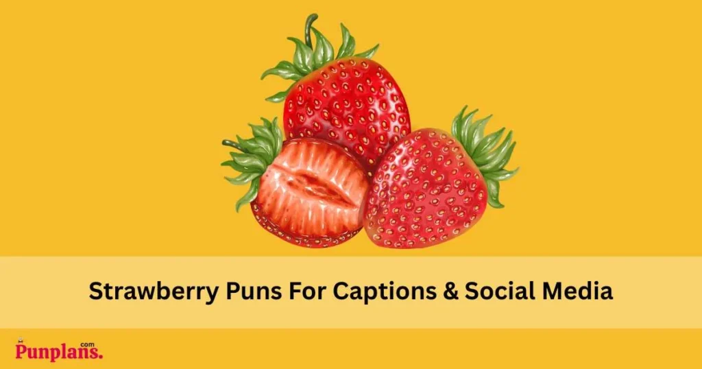 Strawberry Puns For Captions And Social Media