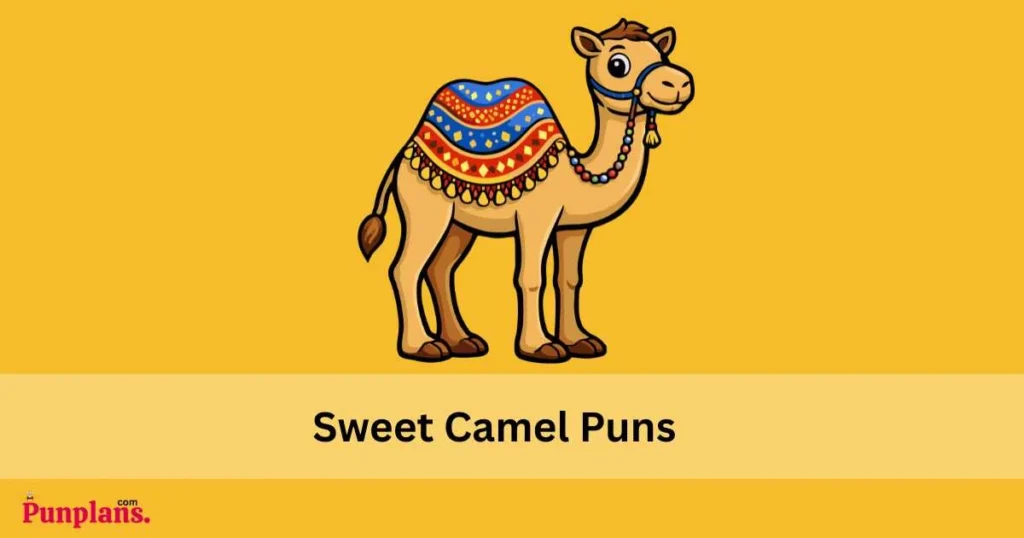 Sweet Camel Puns