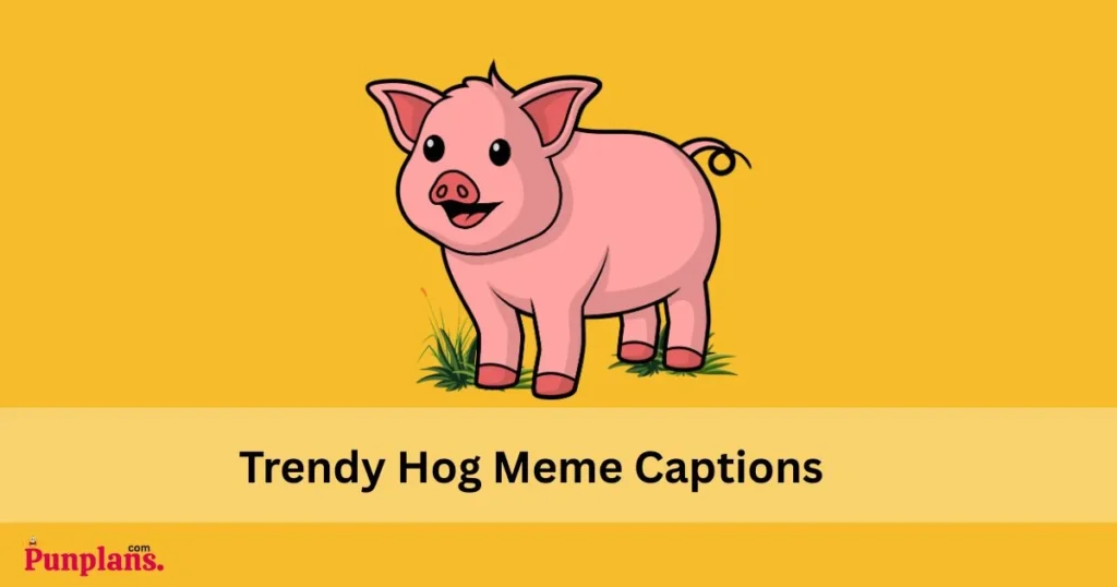 Trendy Hog Meme Captions
