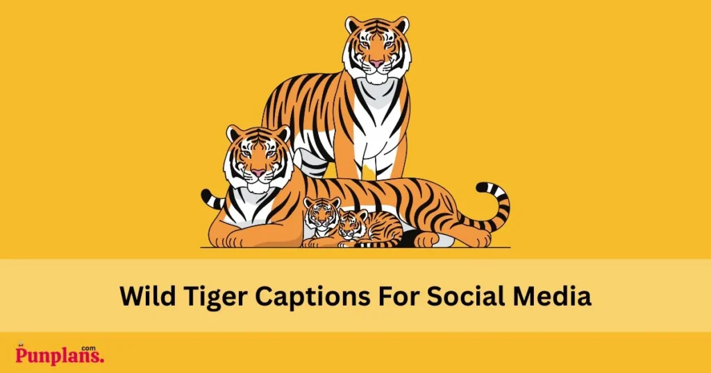 Wild Tiger Captions For Social Media