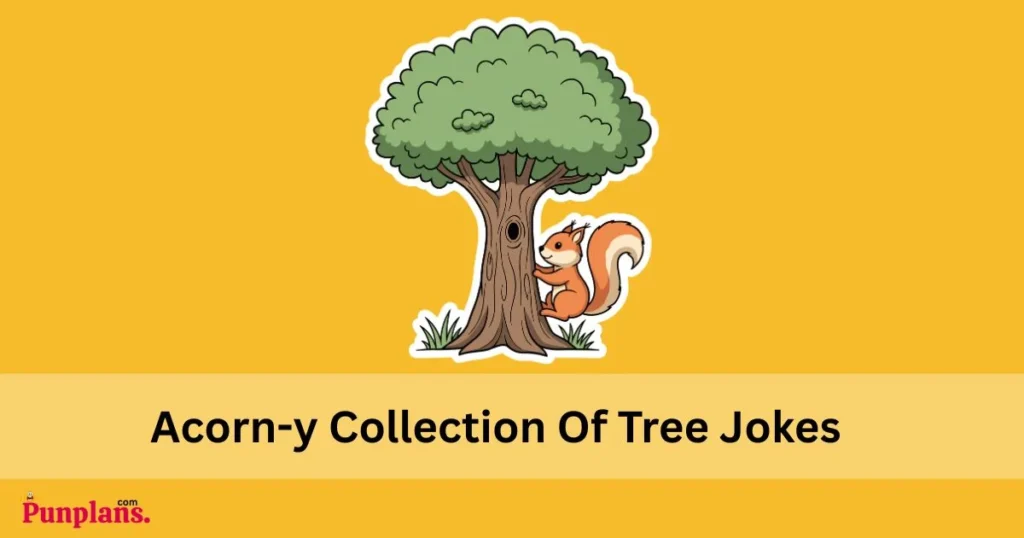 Acorn Y Collection Of Tree Jokes