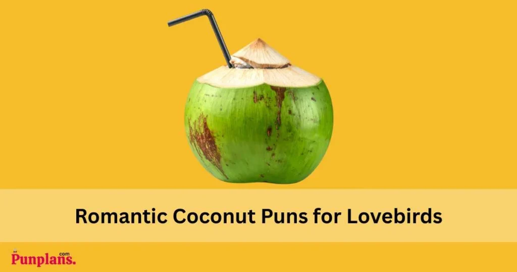 Romantic Coconut Puns For Lovebirds