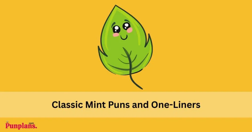 Classic Mint Puns And One Liners