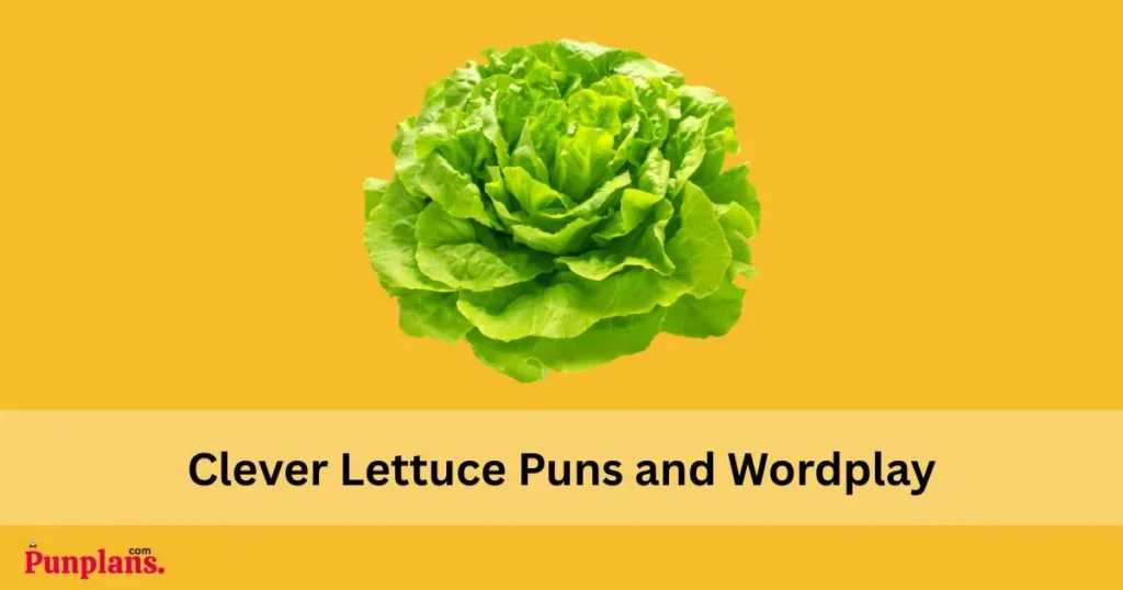 Clever Lettuce Puns And Wordplay