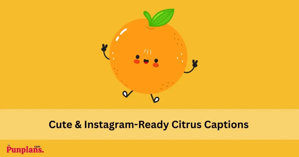 Cute And Instagram Ready Citrus Captions