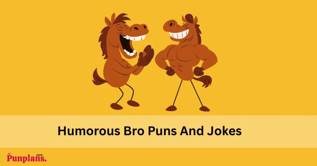 Humorous Bro Puns And Jokes
