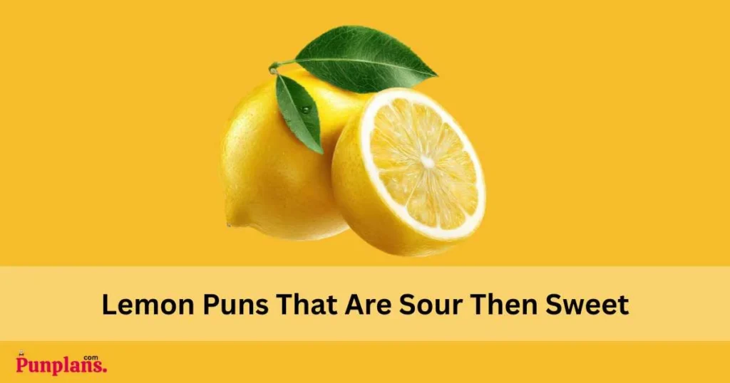 Lemon Puns That Are Sour Then Sweet