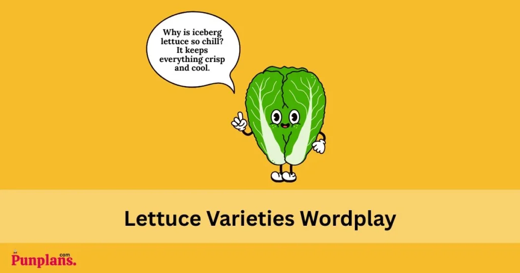 Lettuce Varieties Wordplay