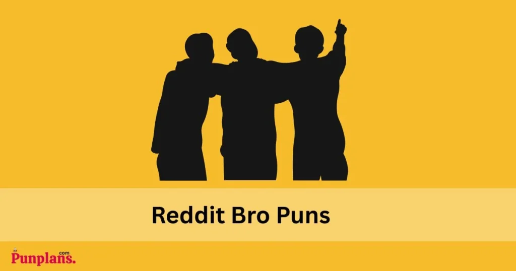 Reddit Bro Puns