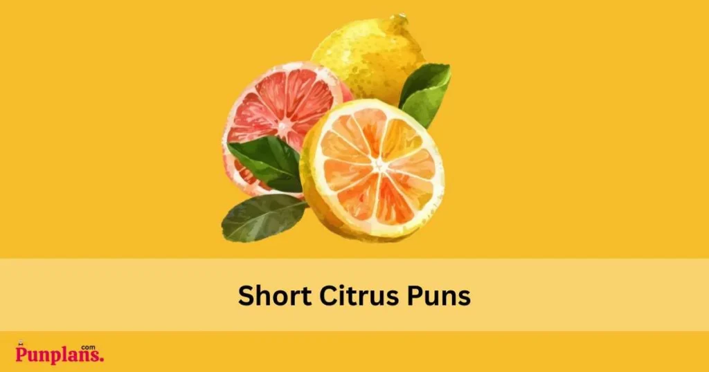 Short Citrus Puns