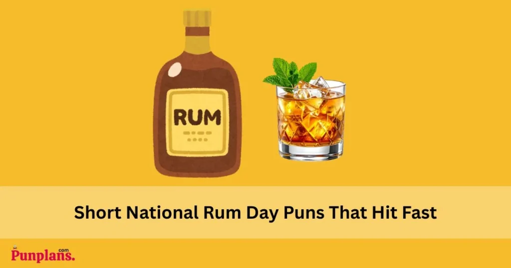 Short National Rum Day Puns That Hit Fast