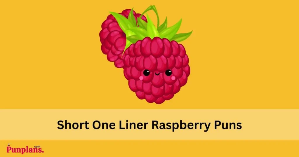Short One Liner Raspberry Puns