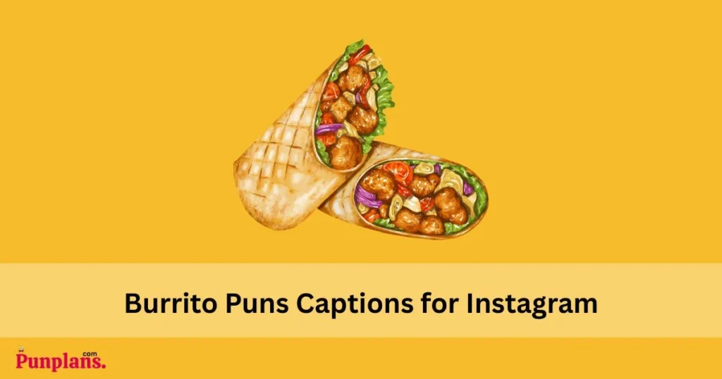 Burrito_puns_captions_for_instagram