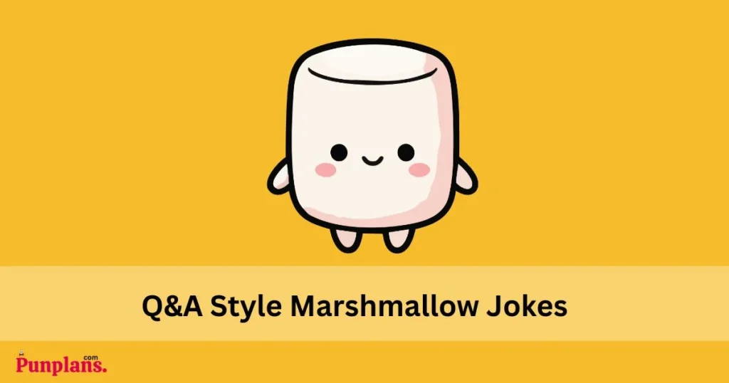 Qanda Style Marshmallow Jokes