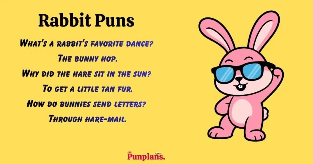 Rabbit puns