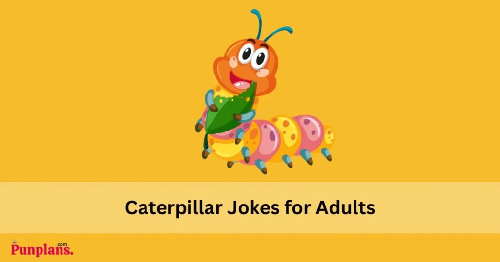 Caterpillar Jokes For Adults