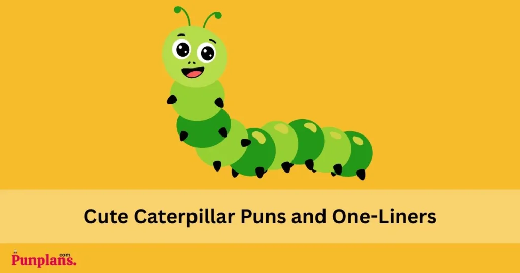 Cute Caterpillar Puns And One Liners
