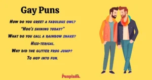 Gay puns