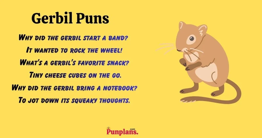 Gerbil puns