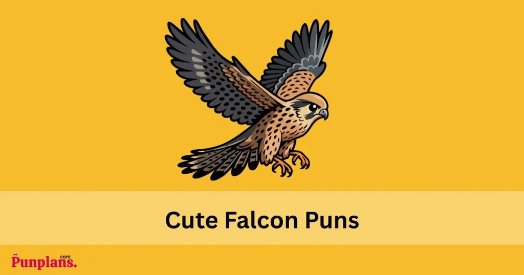 Cute Falcon Puns