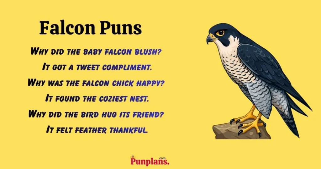 Falcon Puns