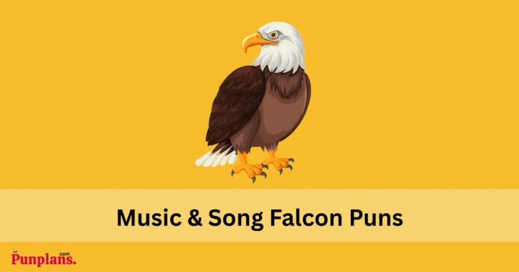 Music And Song Falcon Puns