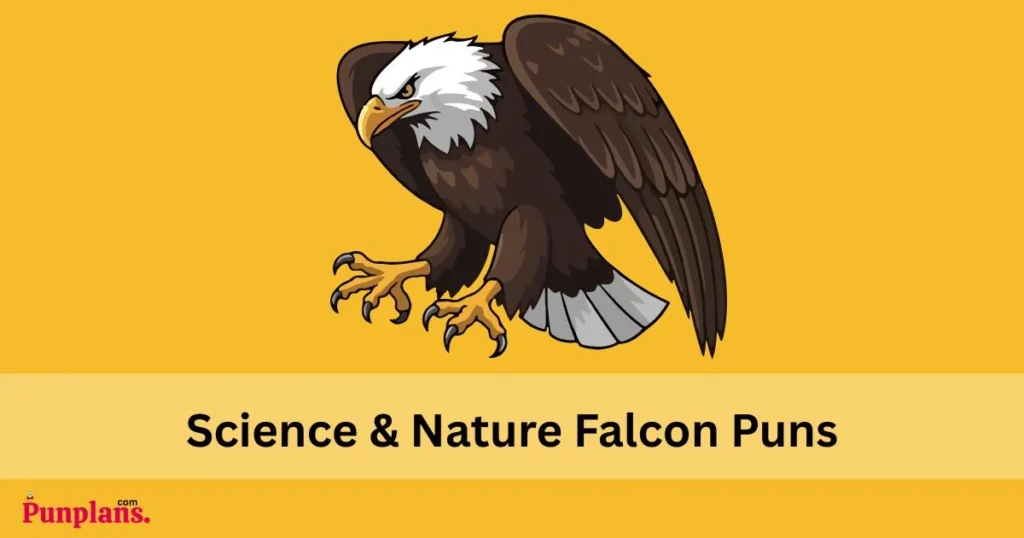 Science And Nature Falcon Puns