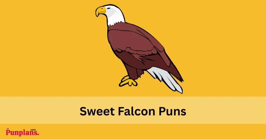 Sweet Falcon Puns