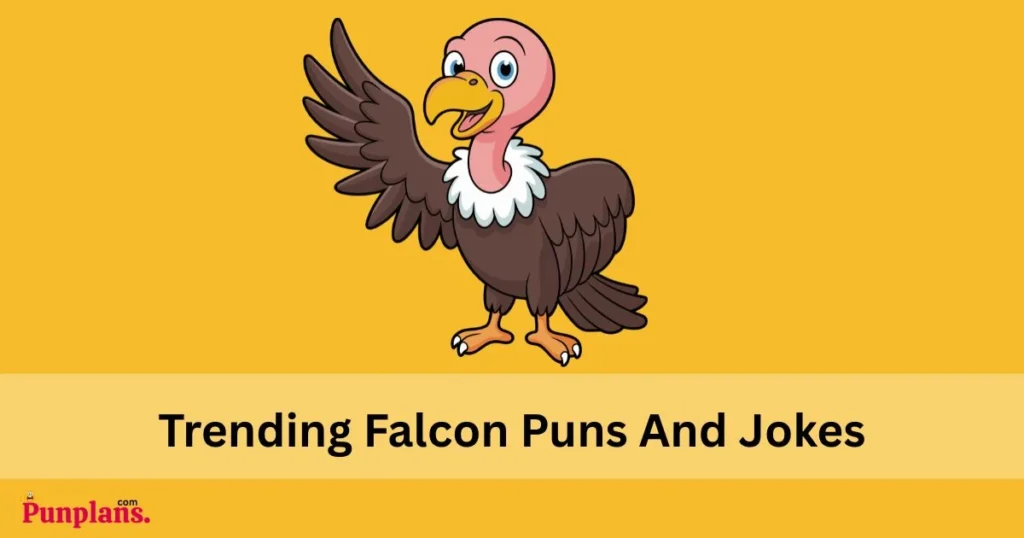 Trending Falcon Puns And Jokes