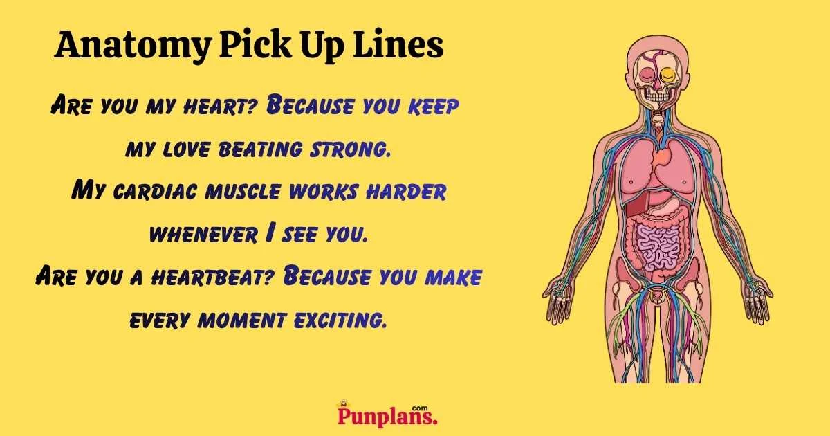 Anatomy Pick Up Lines