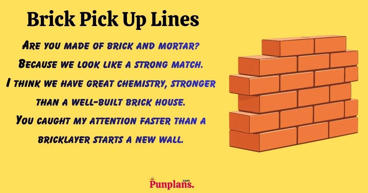 Brick Pick Up Lines