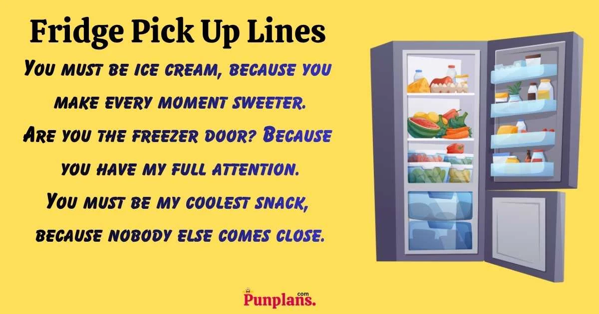 Fridge Pick Up Lines