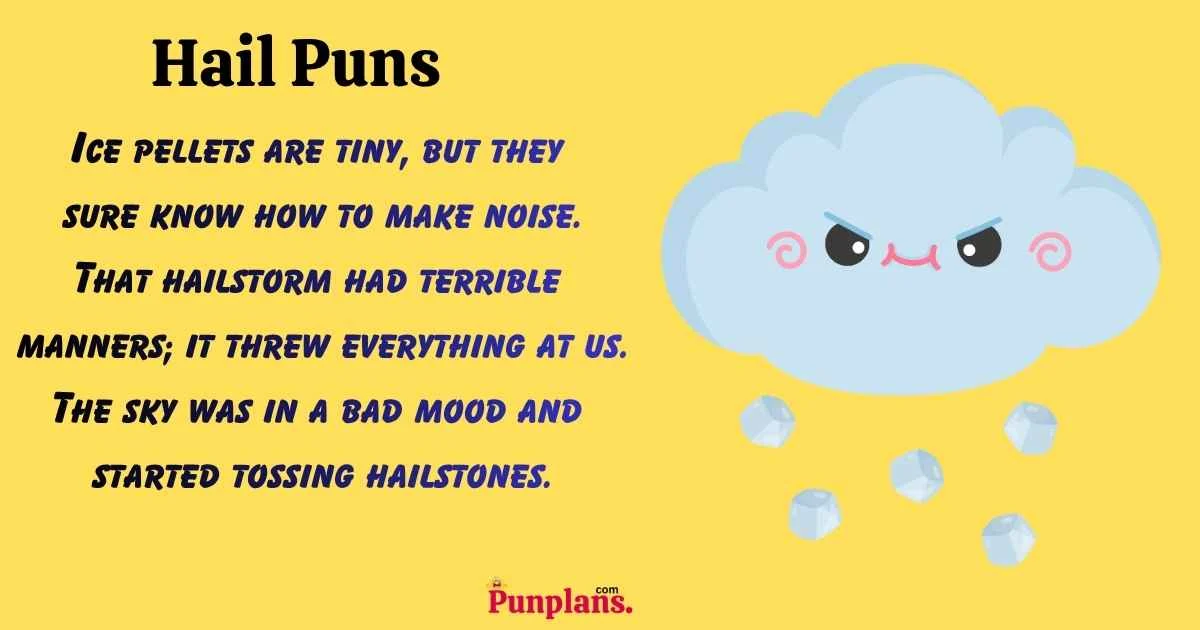 Hail Puns